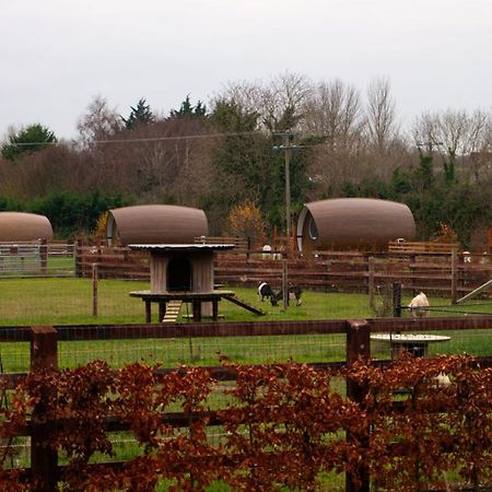 Luxury Glamping Pod Villa Malahide Kültér fotó