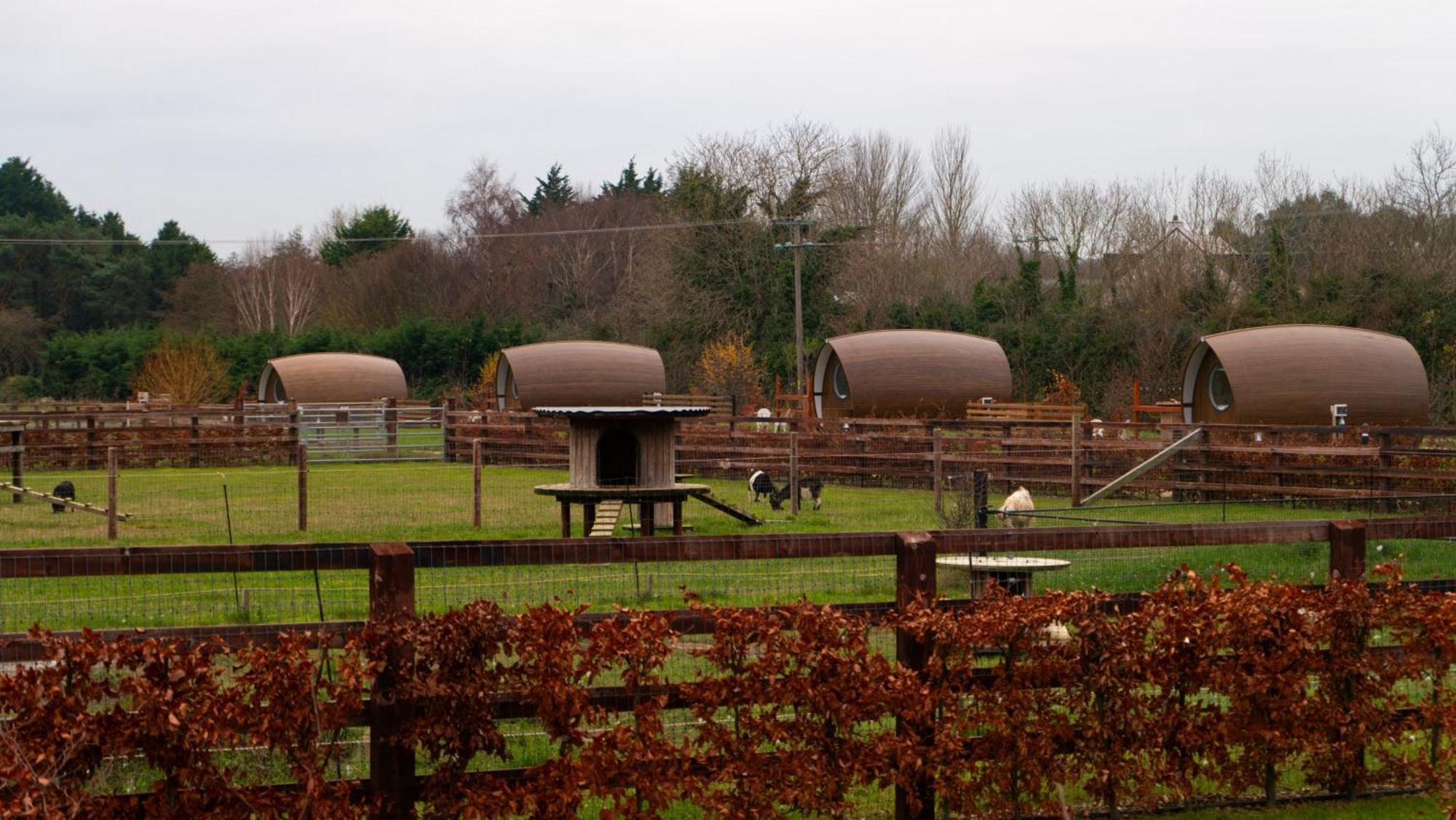 Luxury Glamping Pod Villa Malahide Kültér fotó